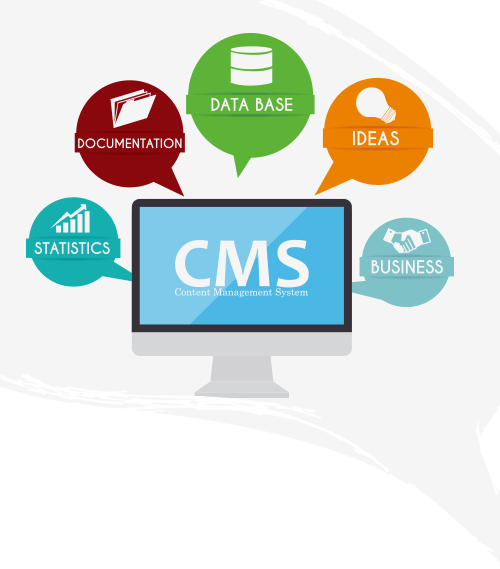 CMS Web Development