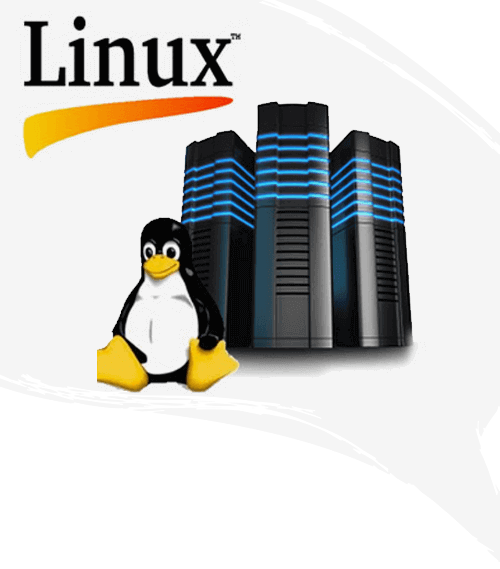 Linux Web Hosting